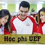 Học Phí Uef 2022 Ngành Tài Chính Ngân Hàng Đại Học